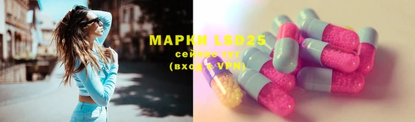 ПСИЛОЦИБИНОВЫЕ ГРИБЫ Майский