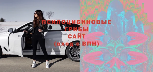ПСИЛОЦИБИНОВЫЕ ГРИБЫ Майский