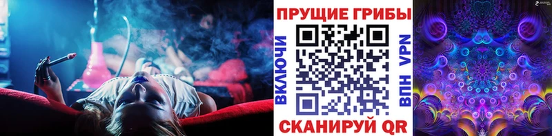 Галлюциногенные грибы Psilocybine cubensis  Купить где  Новая Ляля 